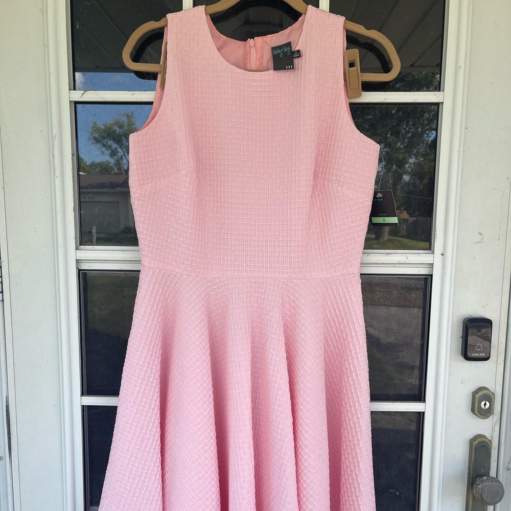 NWT Gabby Syke Baby Pink Skater Dress with Zip Closure